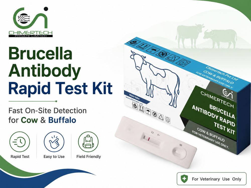 Brucella Antibody Rapid Test Kit for Cattle and Buffalo: Fast On-Farm Brucellosis Testing