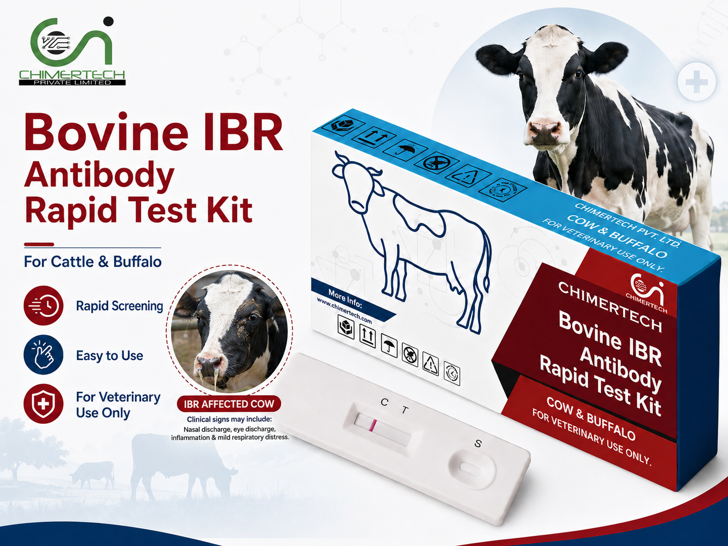 Bovine IBR Antibody Rapid Test Kit for cattle and buffalo, Infectious Bovine Rhinotracheitis rapid test kit, cattle respiratory disease test kit, पशु IBR टेस्ट किट, மாடு IBR டெஸ்ட் கிட், গরুর IBR টেস্ট কিট
