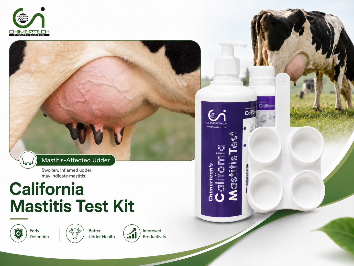 CMT Kit for early mastitis detection in dairy cows, cow udder health test, மாடு மடிநோய் CMT கிட், गाय थनैला रोग टेस्ट किट.