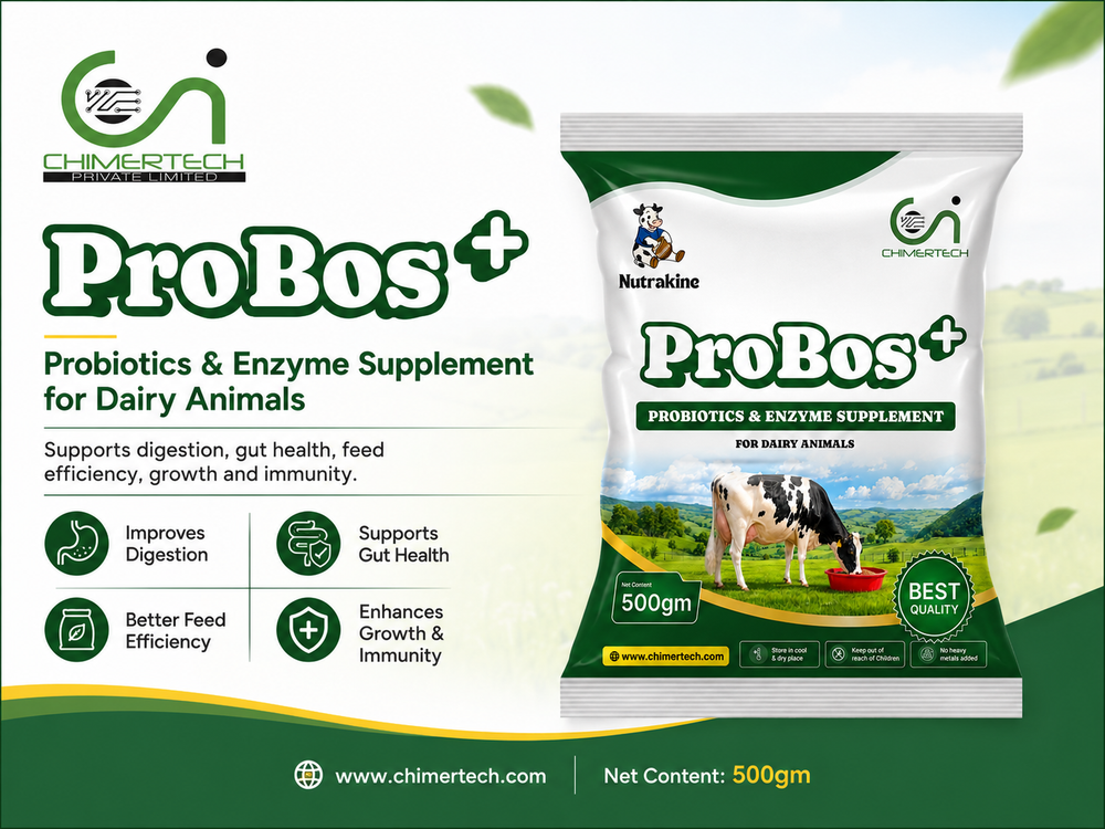 Probos+ Probiotics & Enzyme Supplement