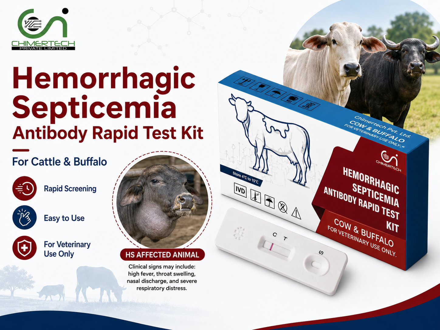 Hemorrhagic Septicemia Antibody Rapid Test Kit for Cattle and Buffalo