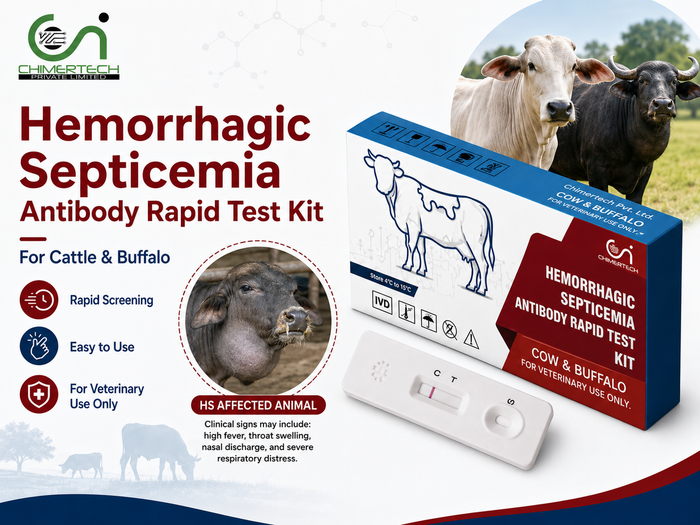 Hemorrhagic Septicemia Antibody Rapid Test Kit for Cattle and Buffalo