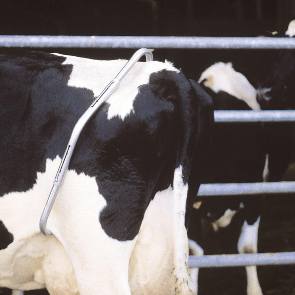 Anti Kick Bar for Dairy Cattle Safety | Chimertech