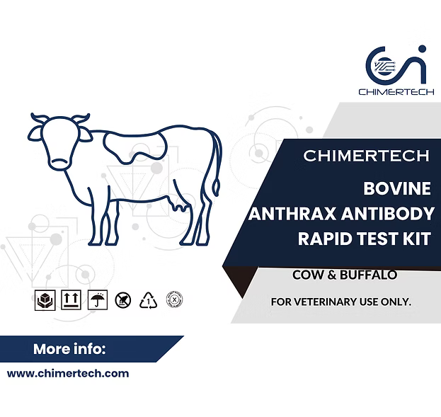 Bovine Anthrax Antibody Rapid Test Kit 1 Test