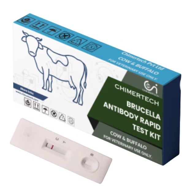 Bovine Brucella Milk Antibody Rapid Test Strip 20 Test