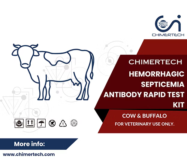Bovine IBR Antibody Rapid Test Kit 20 Test