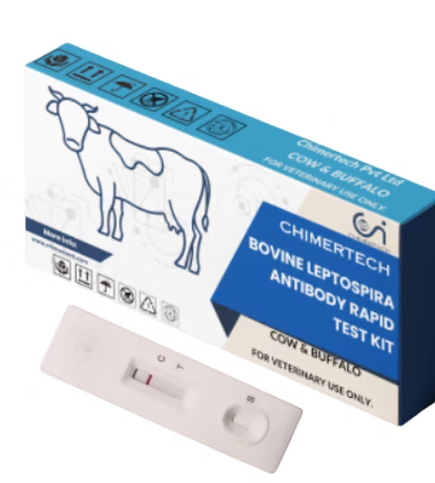 Bovine Leptospira Antibody Rapid Test Kit