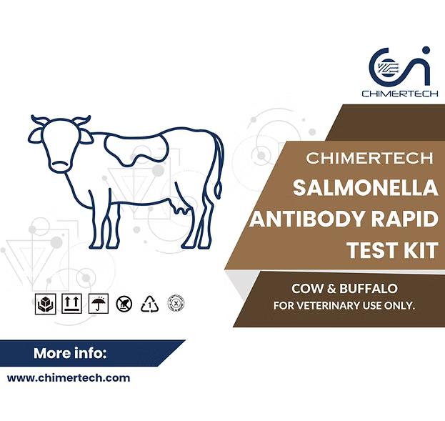 Bovine Salmonella Antibody Rapid Test Kit 1 Test