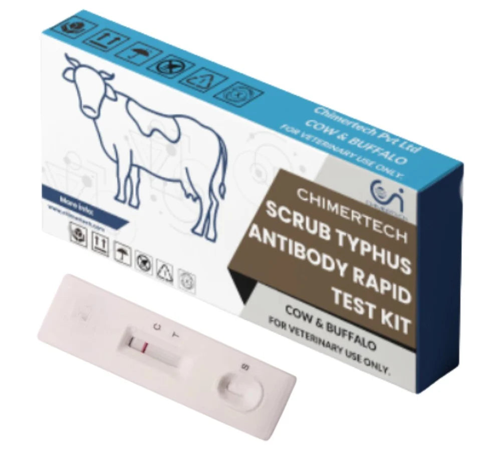 Bovine Scrub Typhus Antibody Rapid Test Kit 1 Test