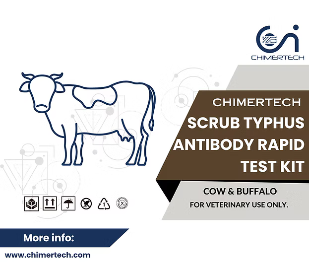 Bovine Scrub Typhus Antibody Rapid Test Kit 1 Test