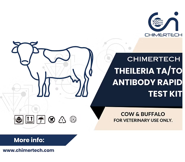 Bovine Theileria Ta/To Antibody Rapid Test Kit 20 Test