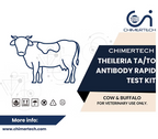 Bovine Theileria Ta/To Antibody Rapid Test Kit 20 Test
