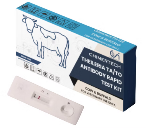 Bovine Theileria Ta/To Antibody Rapid Test Kit