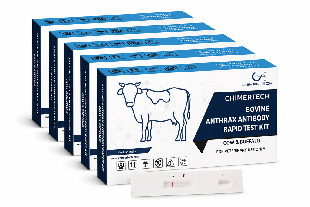 Bovine Anthrax Antibody Rapid Test Kit 20 Test
