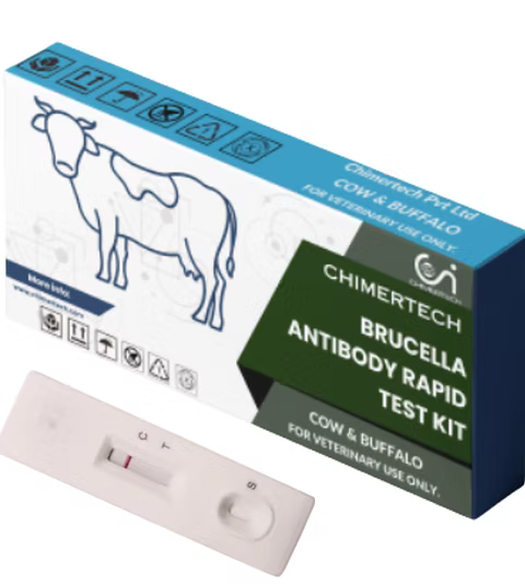 Brucella Antibody Rapid Test Kit