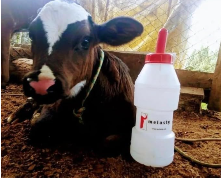 Calf Feeding Bottle Rubber Nipple | Chimertech