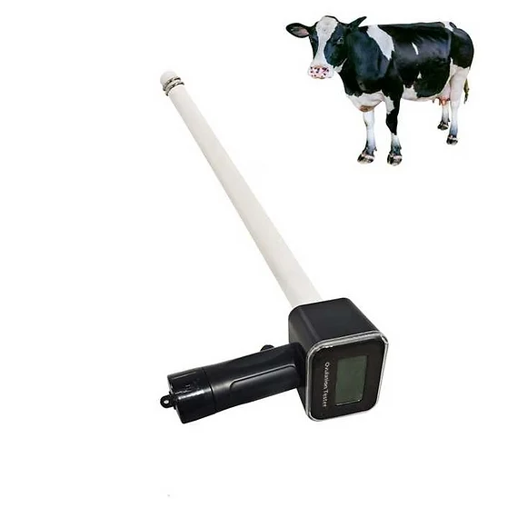 Estrus Gun Cattle