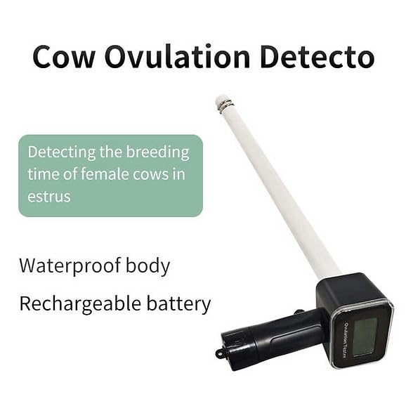 Estrus Gun Cattle