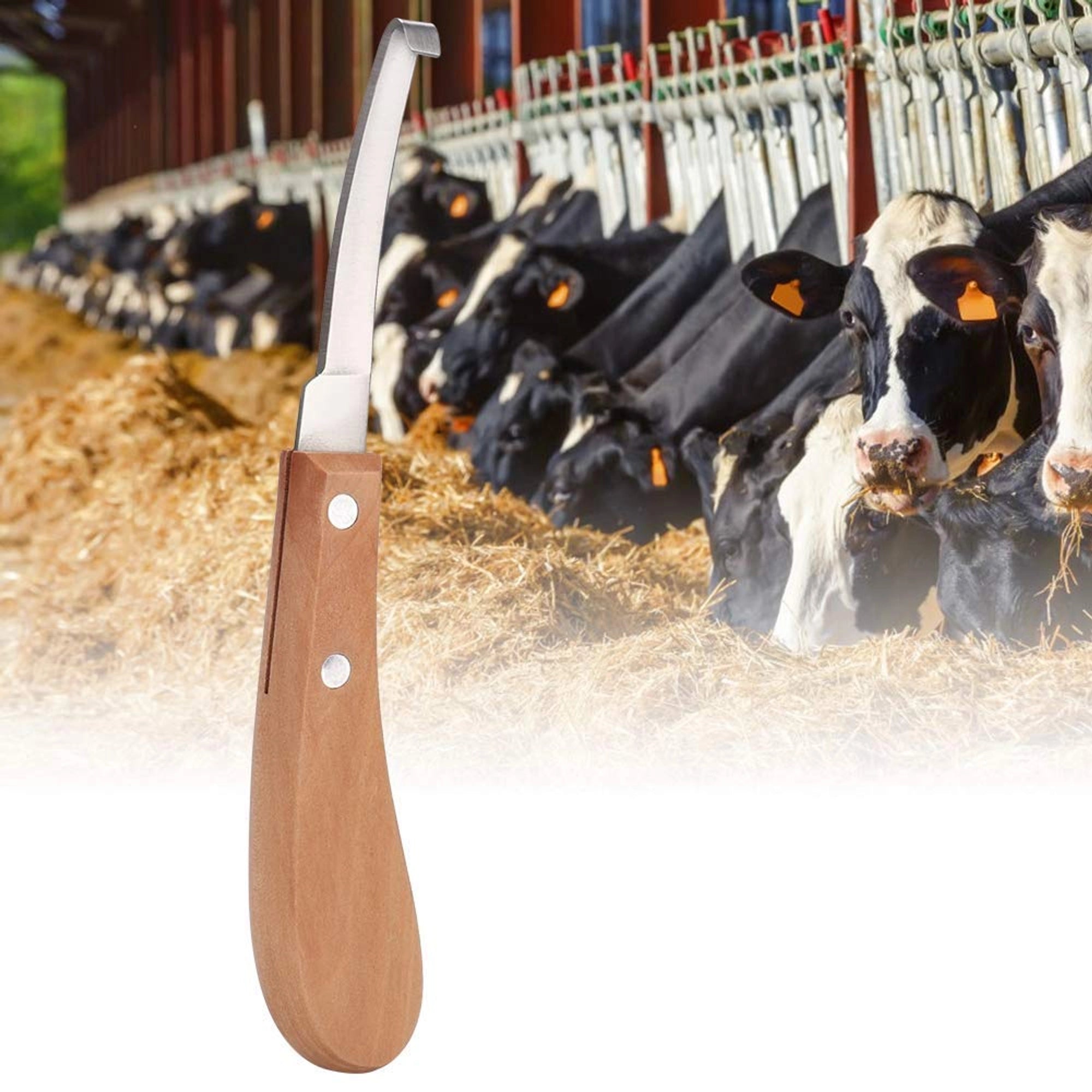 Professional hoof knife for cows horses and goats