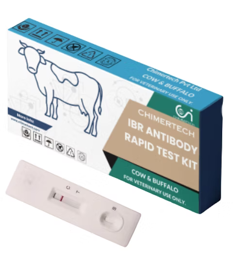 IBR Antibody Rapid Test Kit