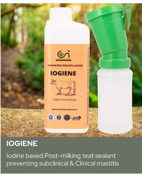 Iogiene 1Kg with Dip Cup Combo