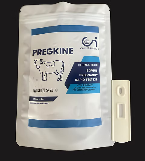 PregKine ( Bovine Pregnancy Kit ) 1 Test