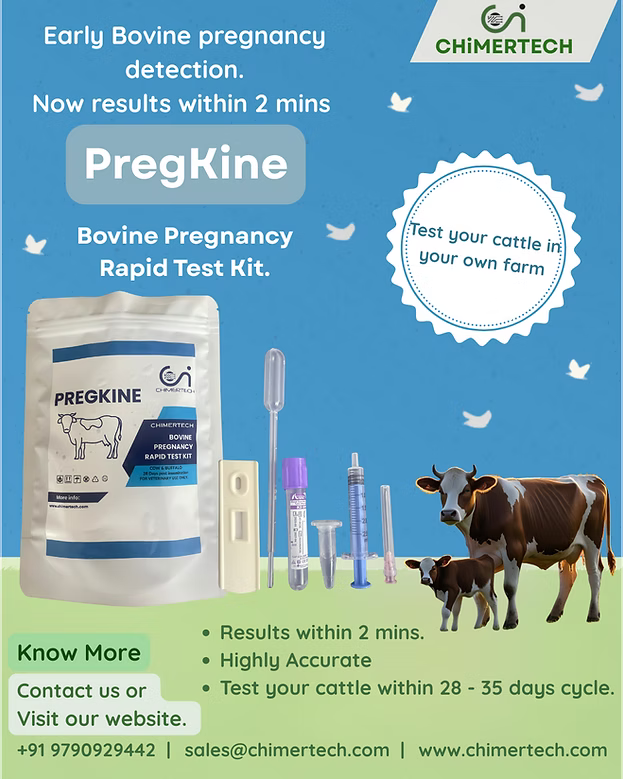 PregKine Bovine Pregnancy Rapid Test - 20 Test Pack of 20 Tests