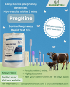 PregKine Bovine Pregnancy Rapid Test - 20 Test Pack of 20 Tests