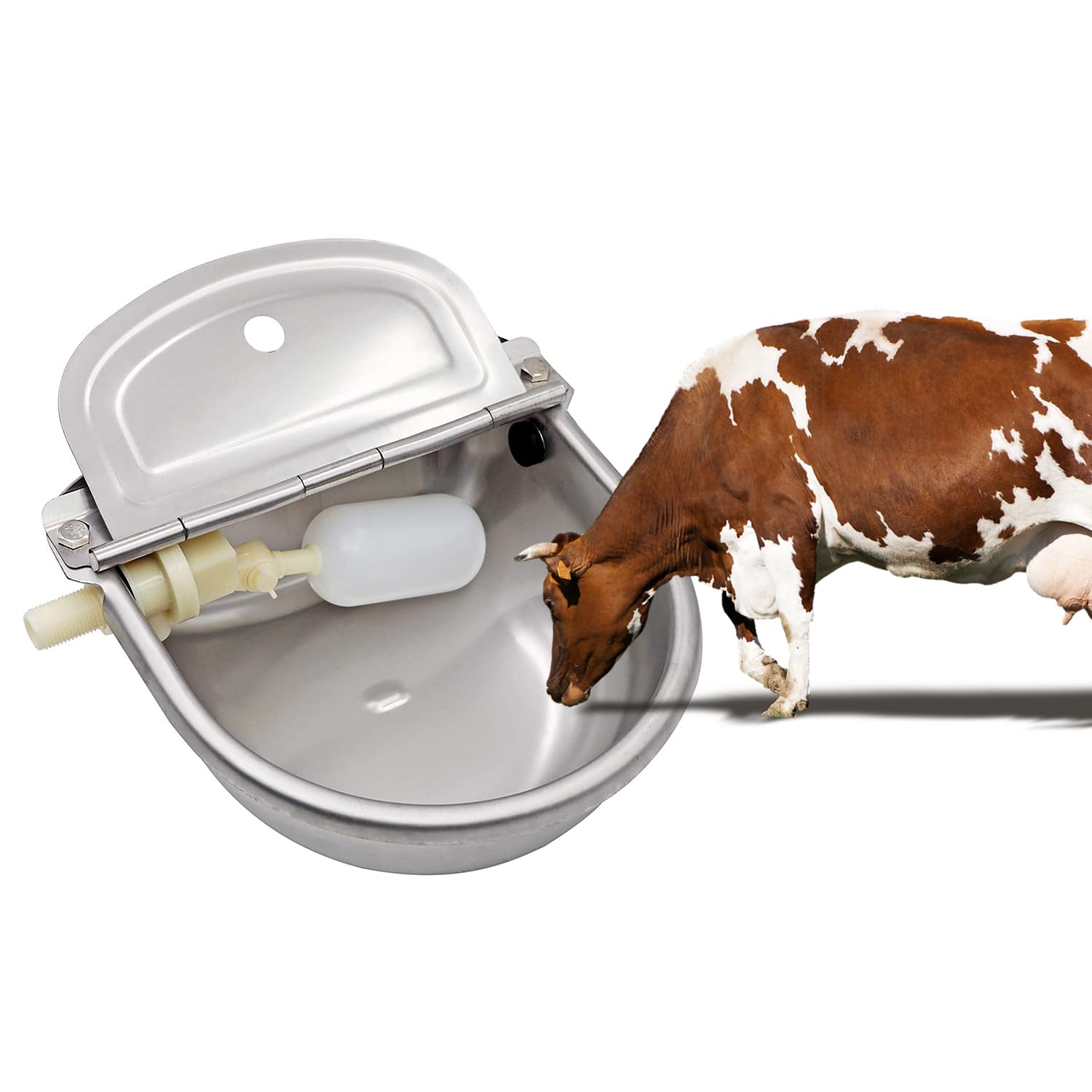 Stainless Steel Water Bowl for Livestock | Chimertech